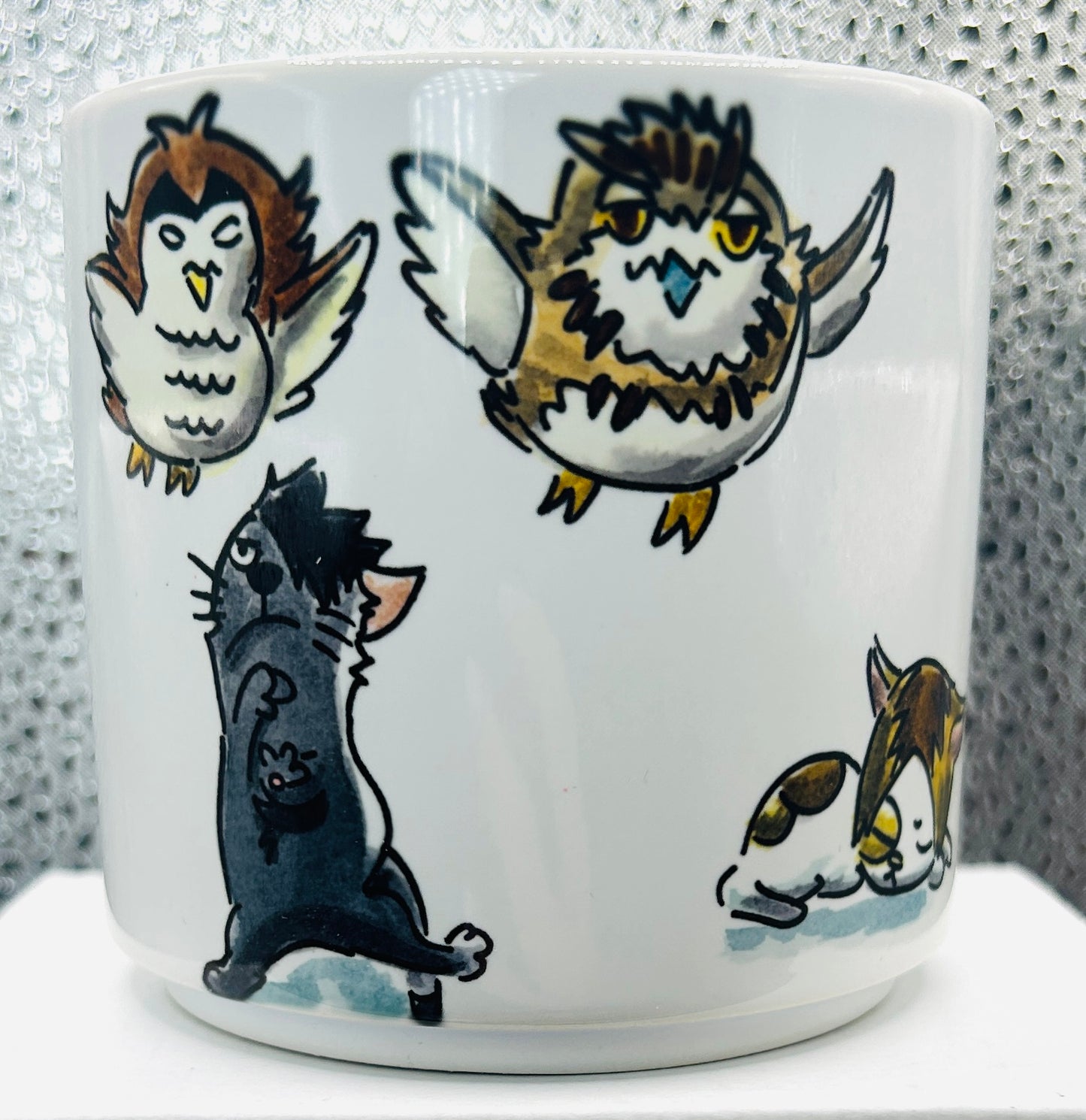 Set Bokuto – Tazza + Portachiavi Haikyuu 🦉