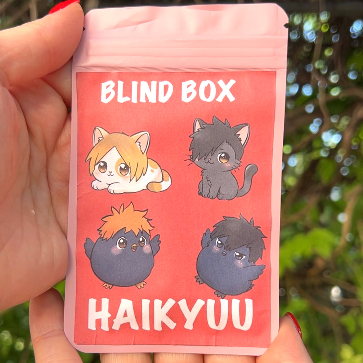 Blind Box Haikyuu – Portachiavi Acrilico a Sorpresa 🏐